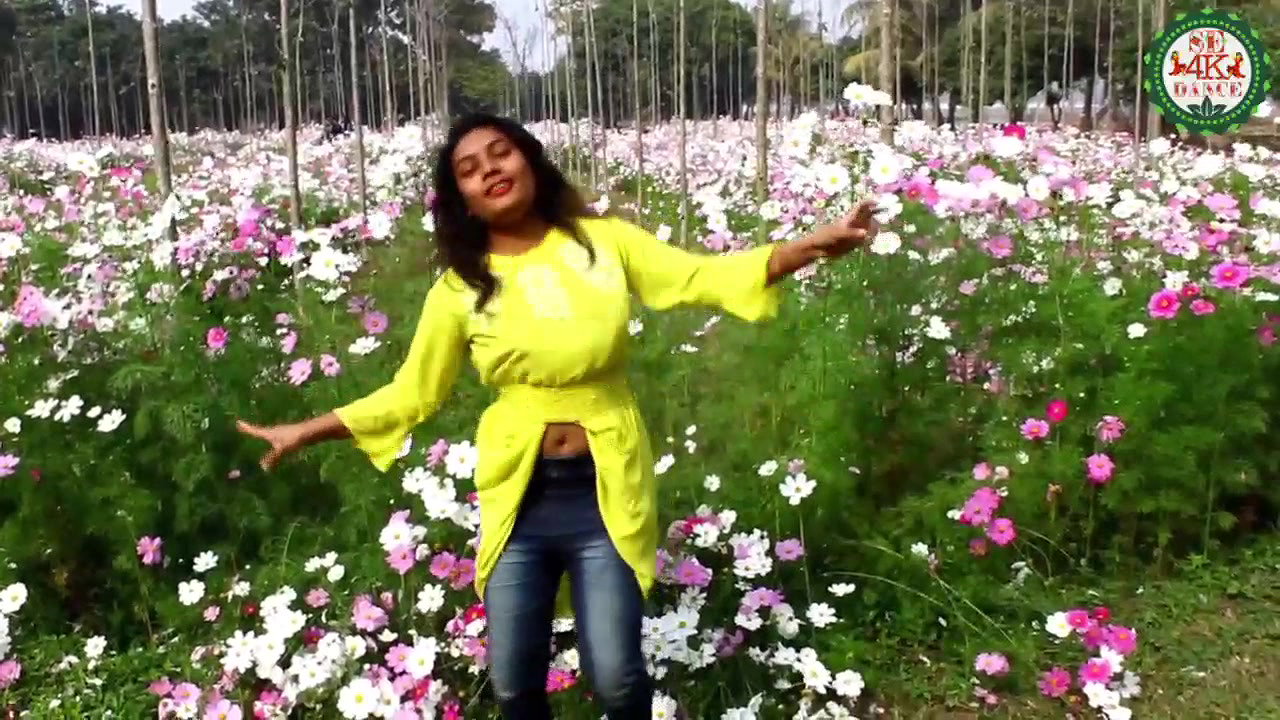 VID-20181228-WA004176