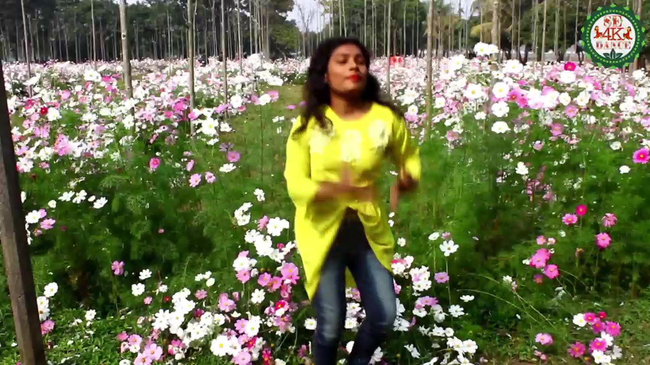 VID-20181228-WA004176