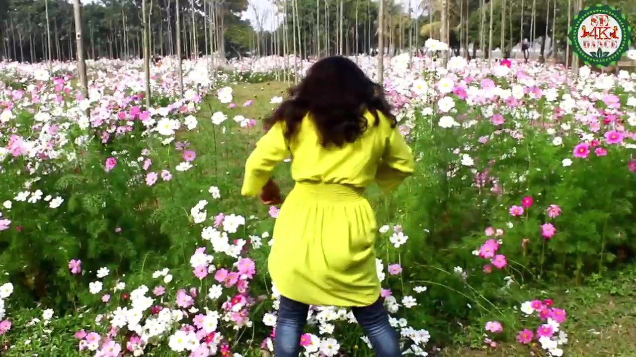 VID-20181228-WA004176