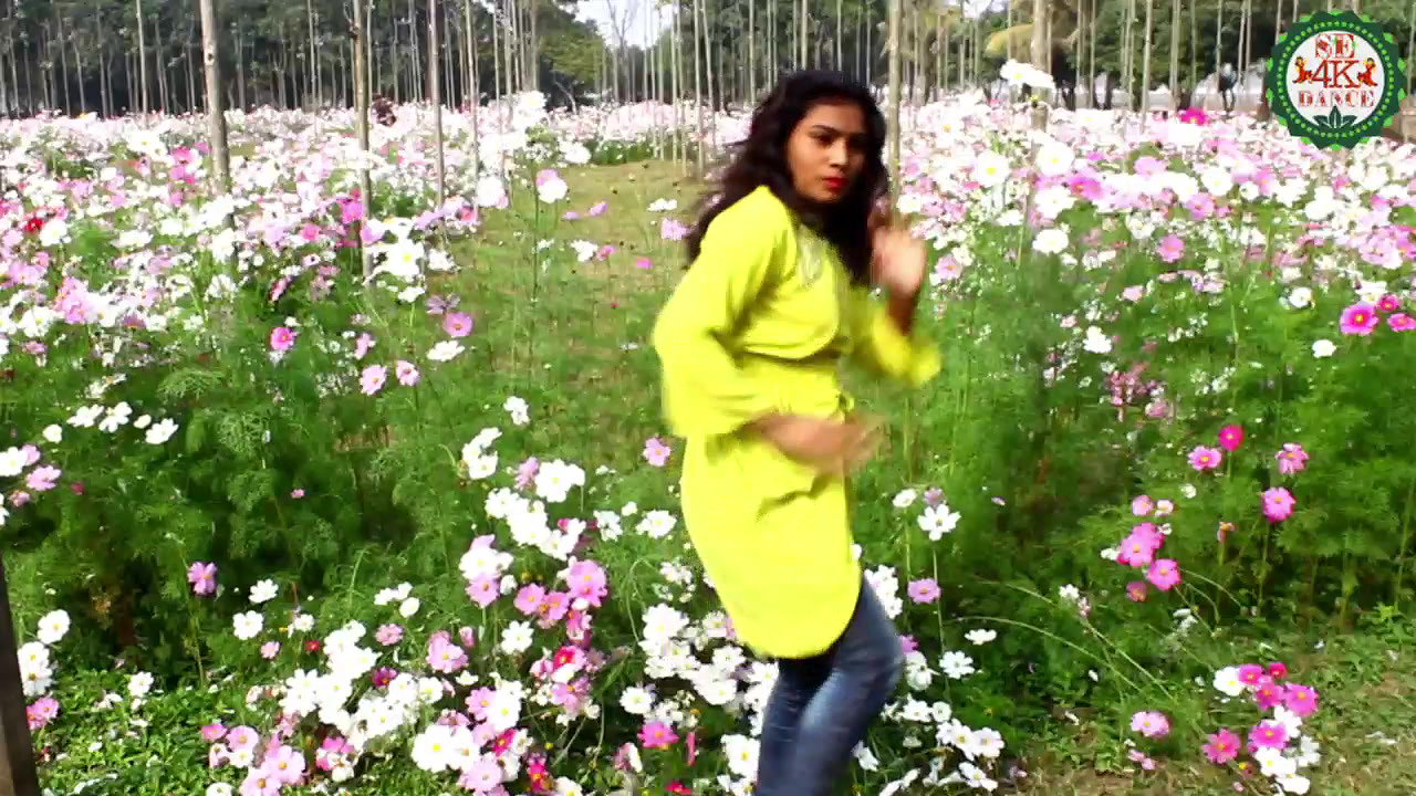 VID-20181228-WA004176