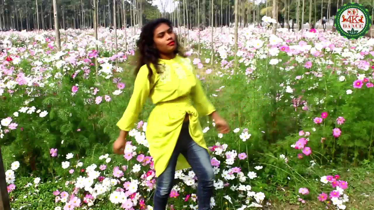 VID-20181228-WA004176