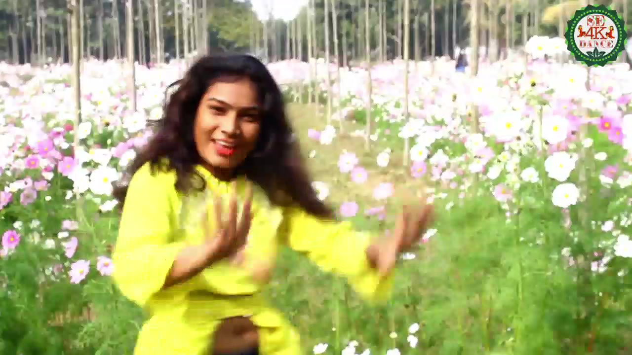 VID-20181228-WA004176