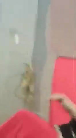 Pk nude mujra collection -172