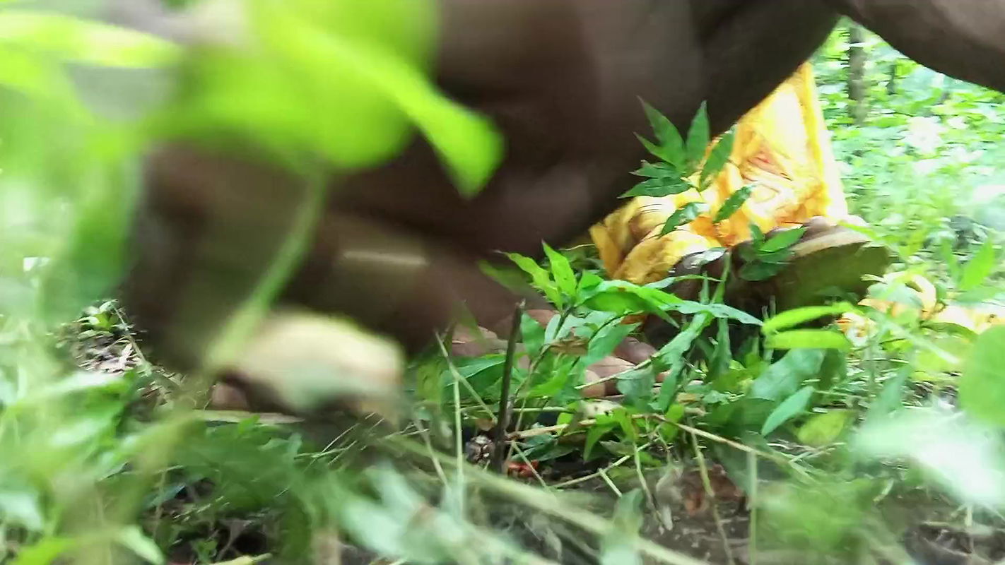 Indian village couple coming fast time nearest area and sex with outdoor romantic hot fun