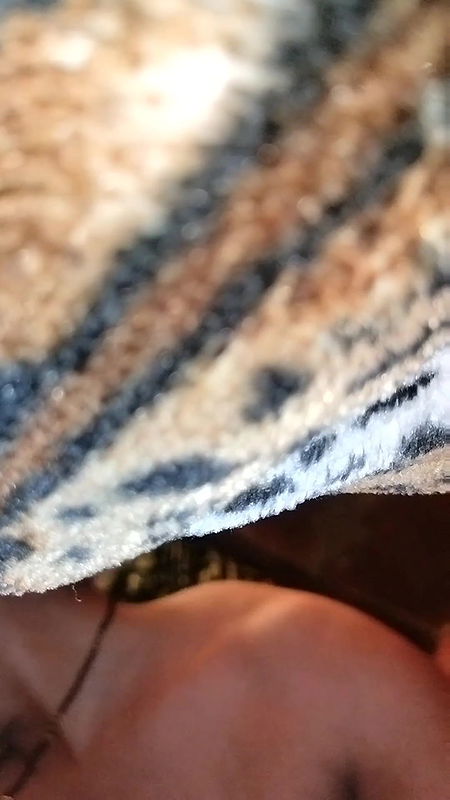 Bhabhi ko pala lund pa Chadha ka