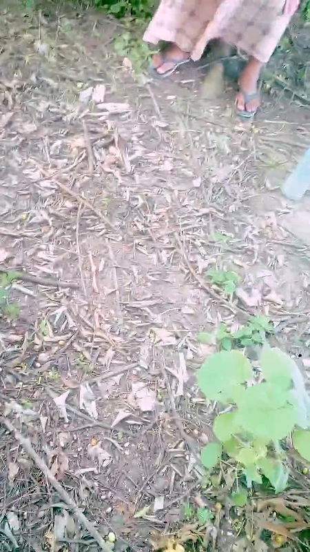 pussy fingaring in the jongal