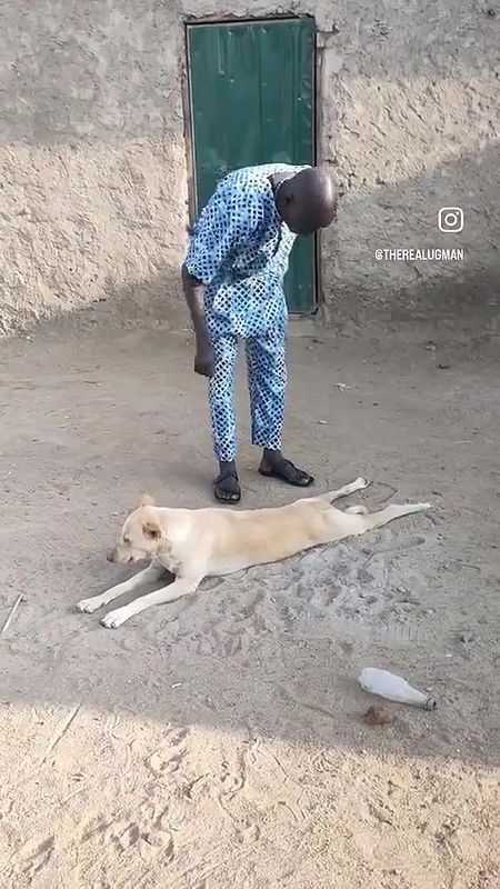 random african black fucking video (654)