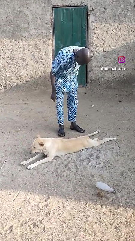 random african black fucking video (654)