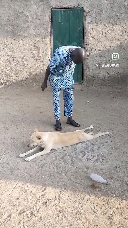 random african black fucking video (654)