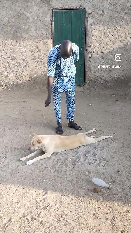 random african black fucking video (654)