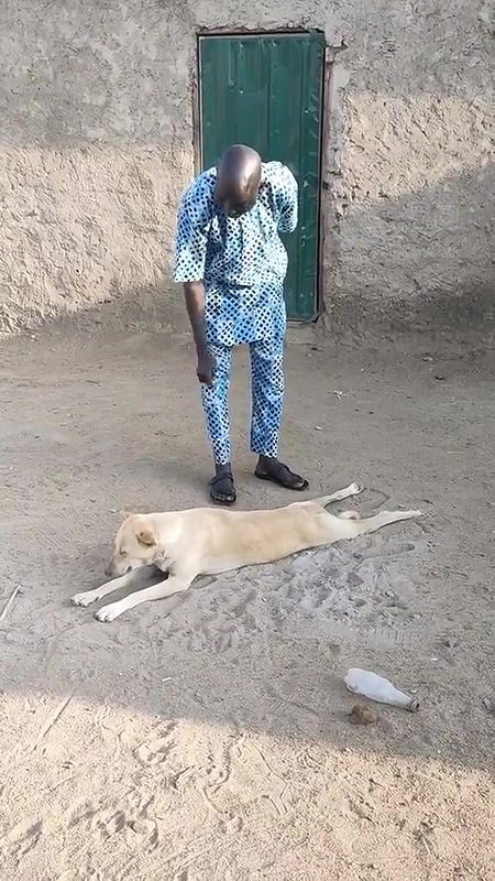 random african black fucking video (654)