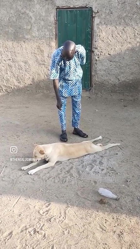 random african black fucking video (654)