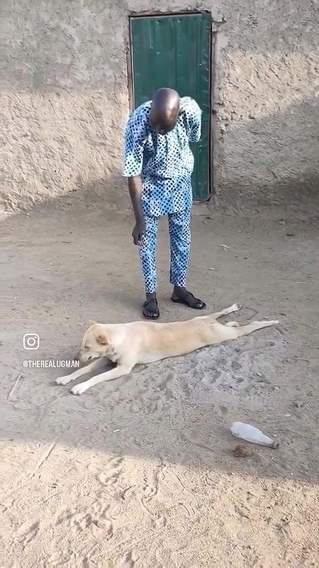 random african black fucking video (654)