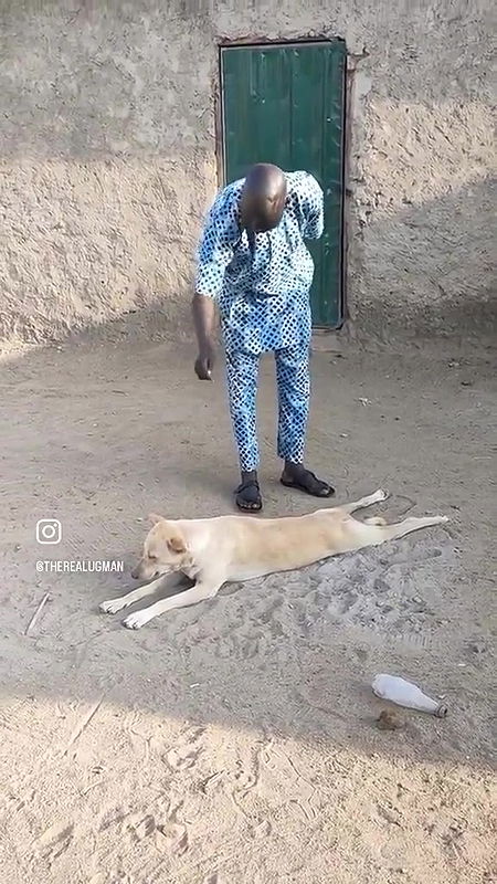 random african black fucking video (654)