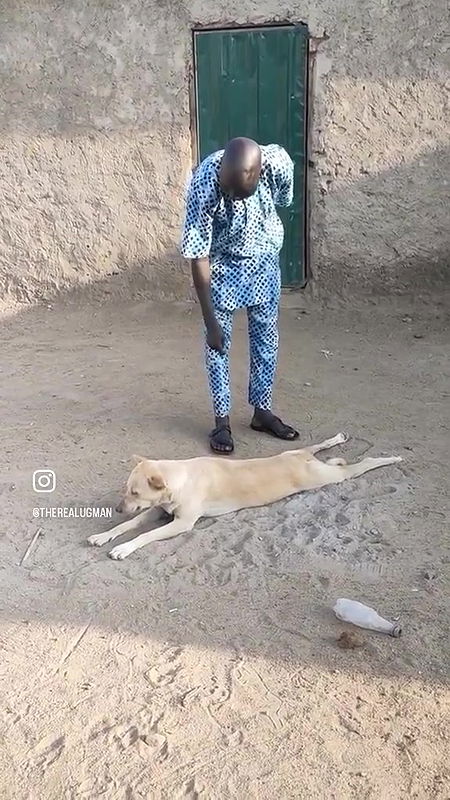 random african black fucking video (654)