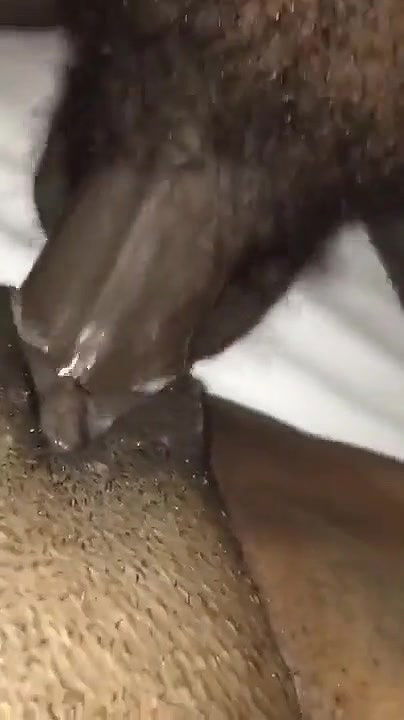 random african black fucking video-414