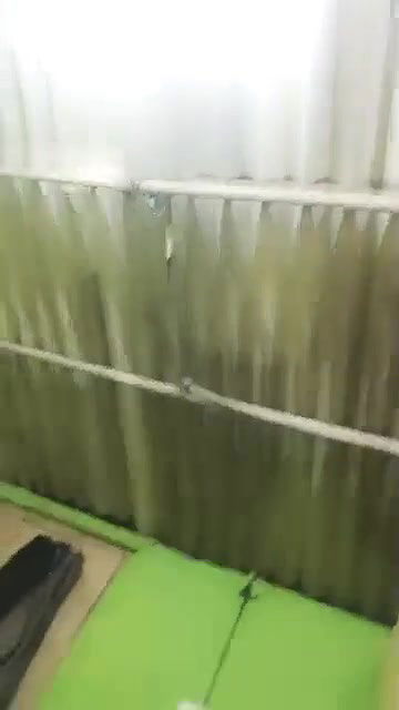 Mala Malani – CPL ?