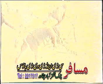 Random pk mujra fucking videos-133