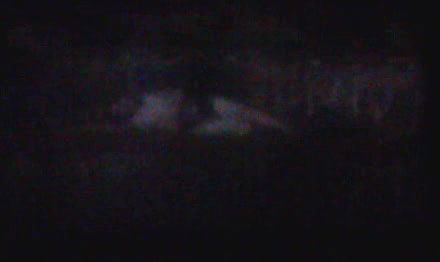 Random pk mujra fucking videos-85