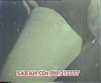 Random pk mujra fucking videos-242