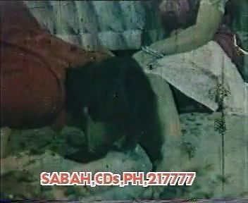 Random pk mujra fucking videos-241