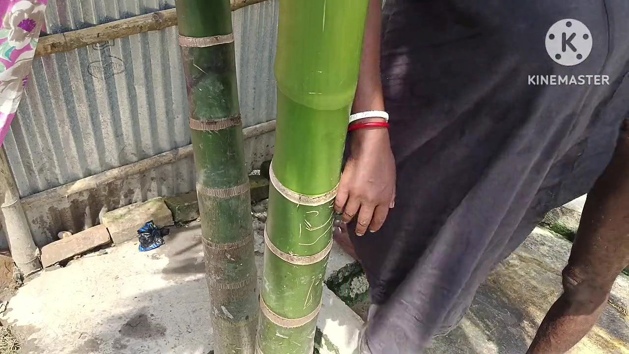 Random pk mujra fucking videos-158