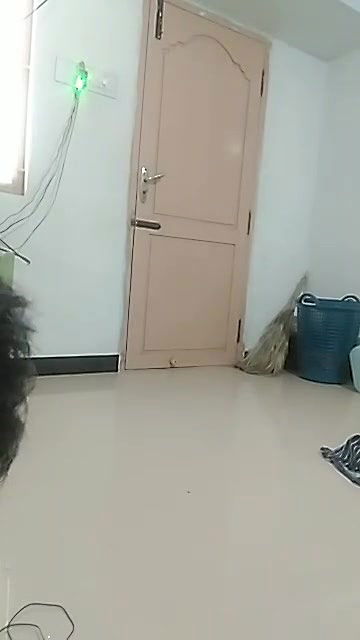 Tamil ஷிவானி