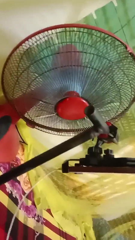 Friends, see how my wife amuses me, my wife will amuse you even if you want