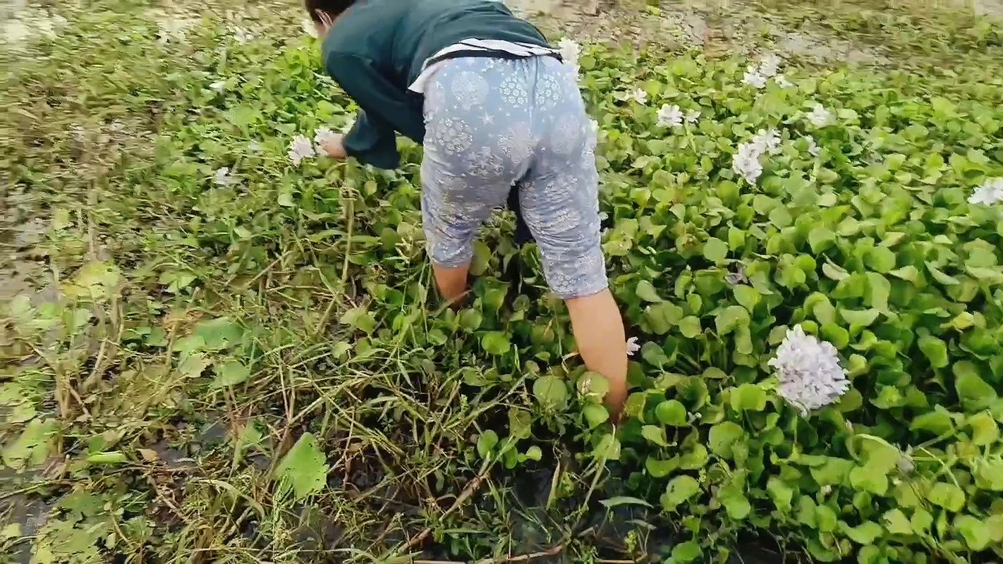 He called her from outside and had sex with the neighbor