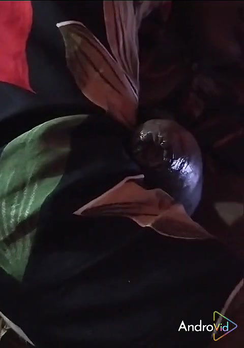 Land Ki Deewani Poonam Bhabhi Sex