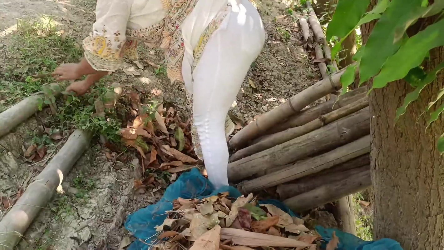 New video 2024-05-06 12 44 33