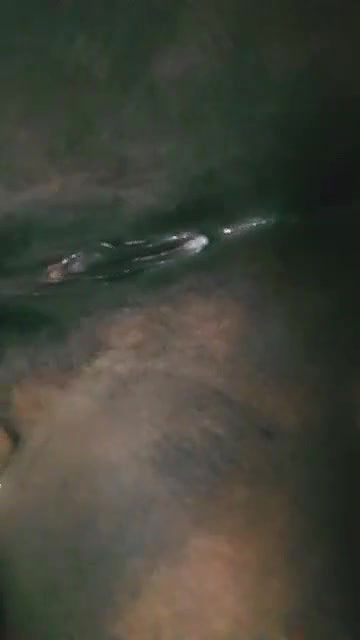 Lissa ലിസ്സാ ???