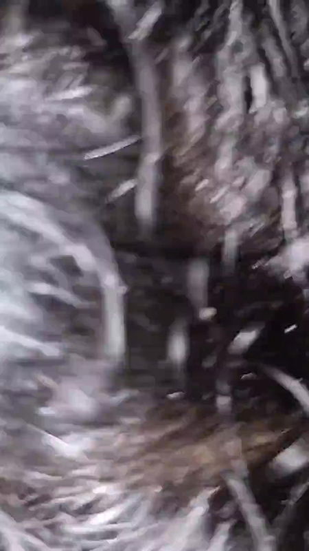 Indian gf bf real sex with hindi dirty talking