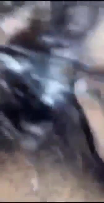 Beautiful Boudi Sucking and Riding