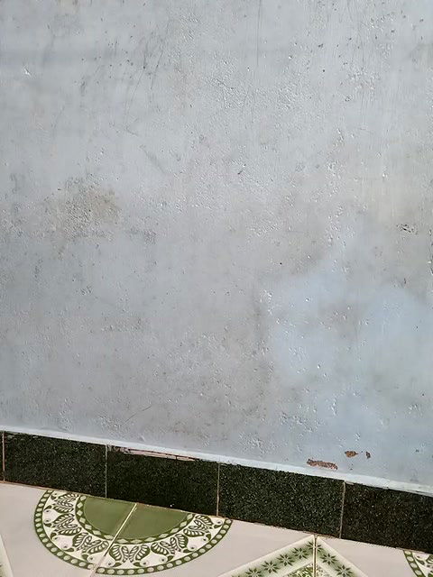 Stripchat-Public.Show-f-Renuma-2024.06.19.040411