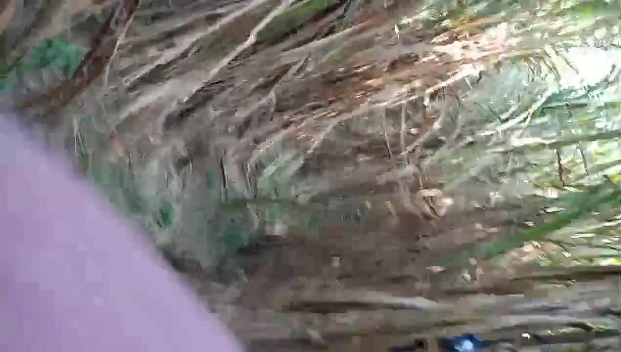 Desi village teen outdoor fucking