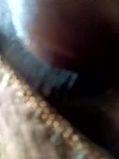 Stripchat-Public.Show-f-neha-bhabhi-2024.09.16.083454