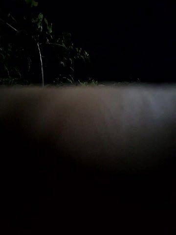 Stripchat-Public.Show-f-MalluGirlkerala01-2024.09.04.201059