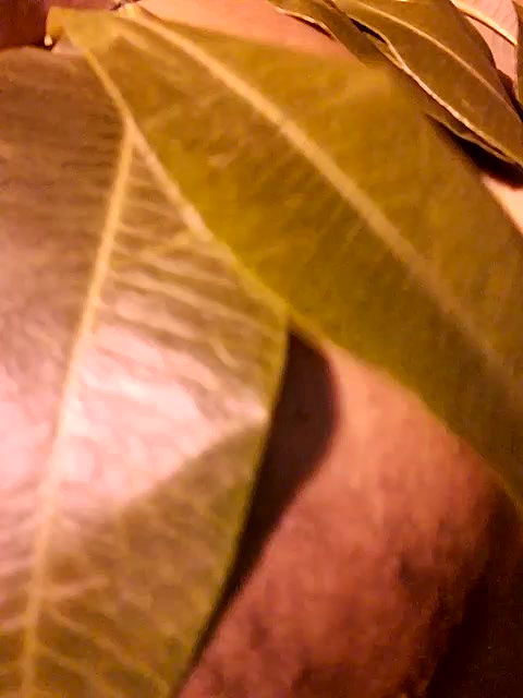 Stripchat-Public.Show-c-Love_Winss-2024.06.16.193523