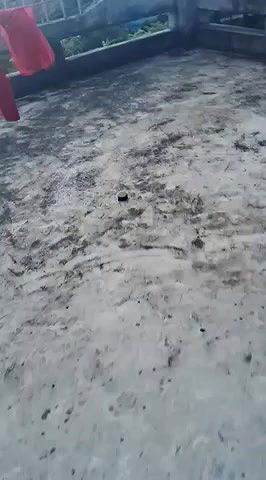 Stripchat-Public.Show-c-Ishikarana-2024.09.10.105004