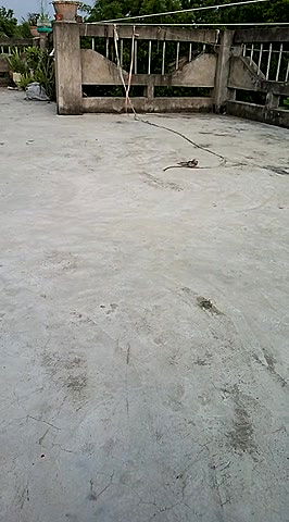 Stripchat-Public.Show-c-Ishikarana-2024.08.12.104236