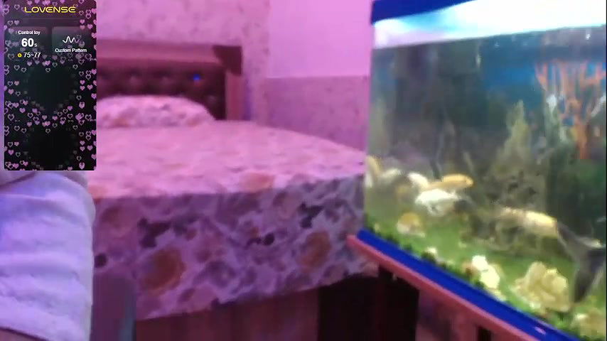 Stripchat-Public.Show-f-Miss_Sugar143-2024.08.03.021053