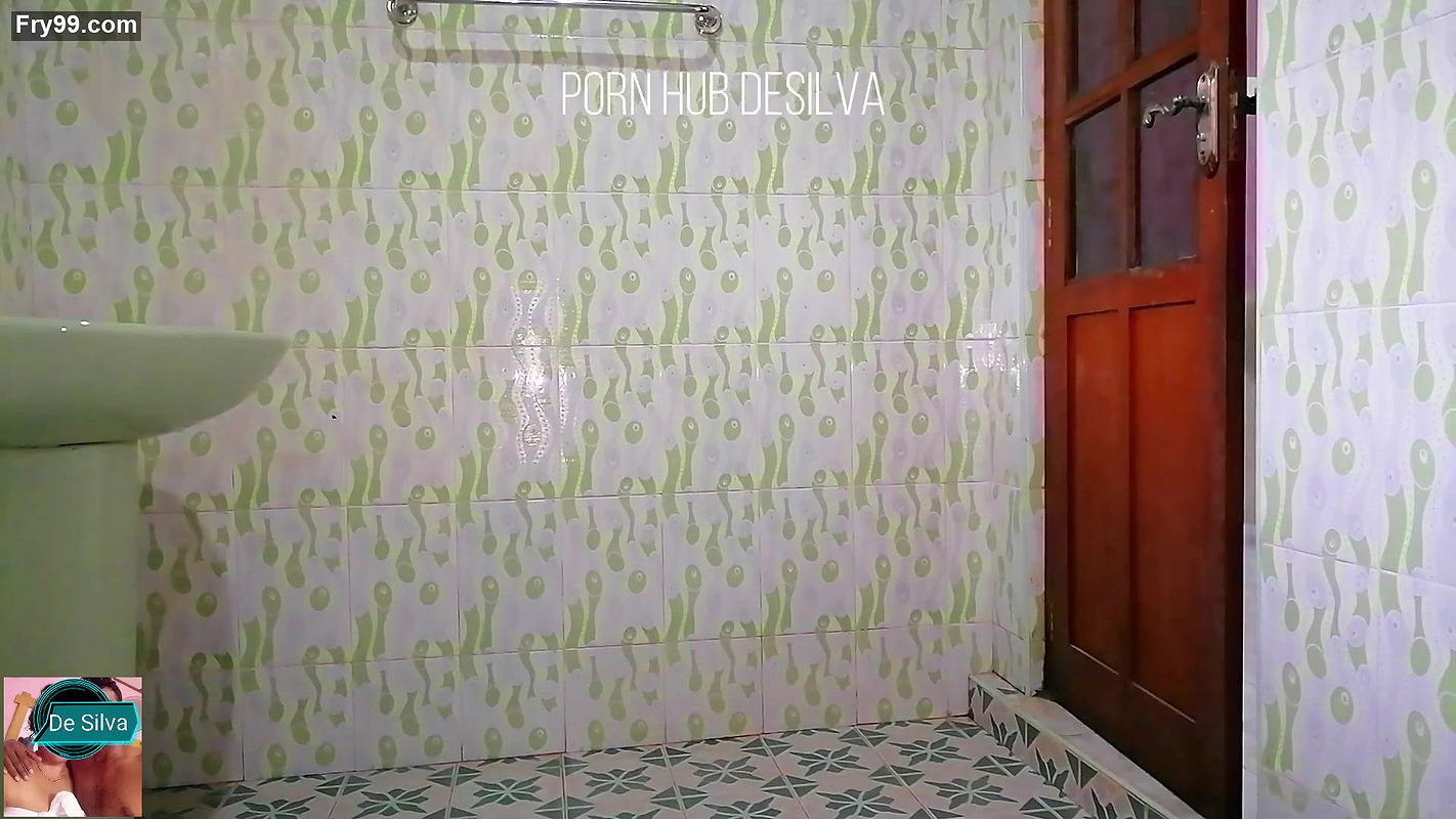 House Owner having Sex in Bathroom