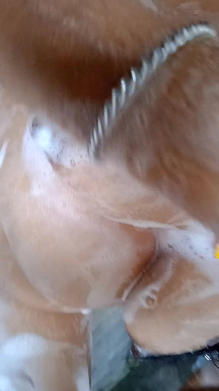 Bhat room may Nude hot bhabhi ka sexy pussy,hot boobs,nippal