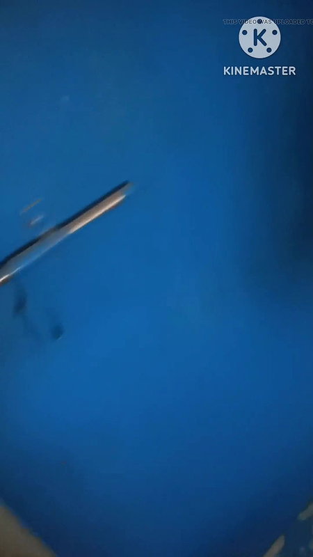 Family sex indian Family stepmom and stepsister and Stepbrother sex