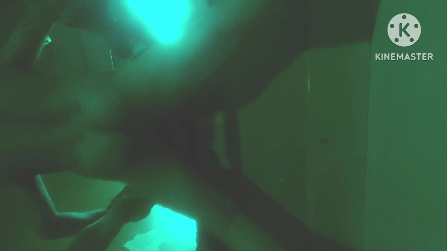 Stop daughter and father home sex Desi style big boobs big ass big pussy