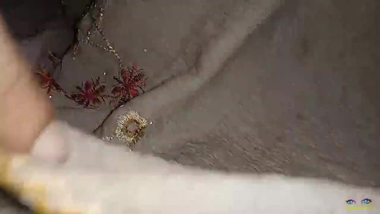 big ass and big pussy fucked hard