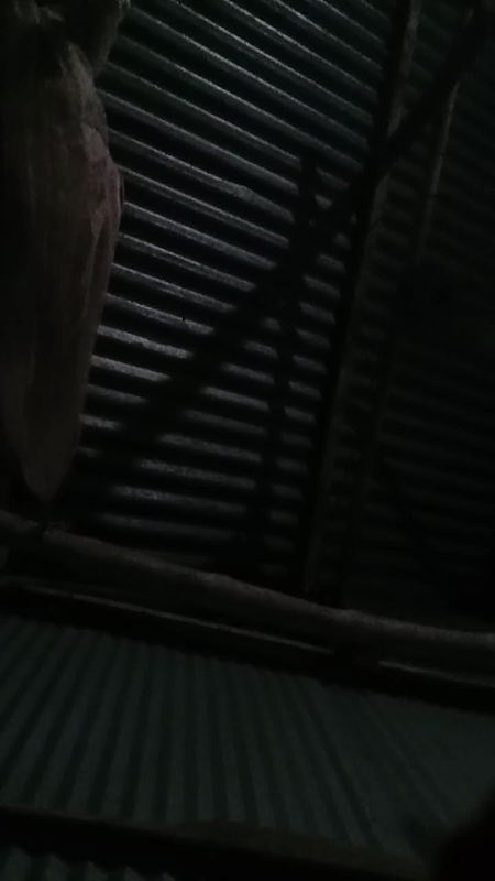 My Parthia sex in nighty very tightly and very sexy her bobs and pussy