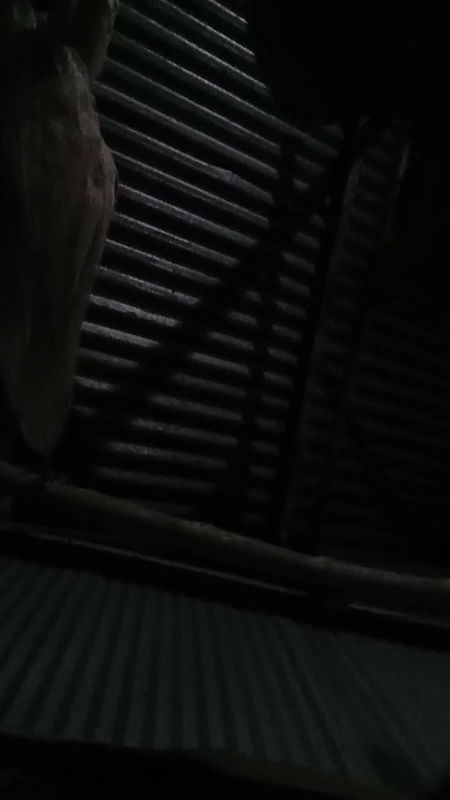 My Parthia sex in nighty very tightly and very sexy her bobs and pussy