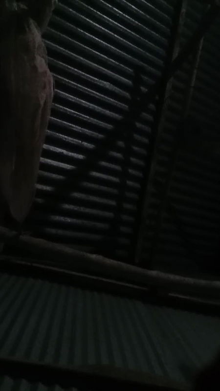 My Parthia sex in nighty very tightly and very sexy her bobs and pussy